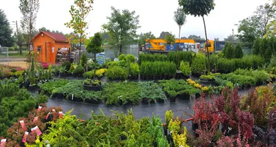 Zielone Grabki - ogrodnicy